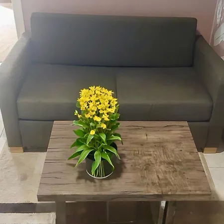 Alice Spacious Apartman