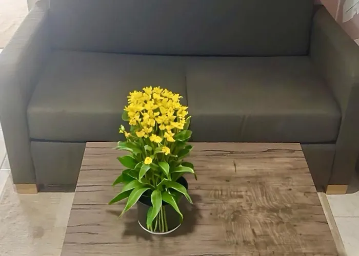 Alice Spacious Lejlighed